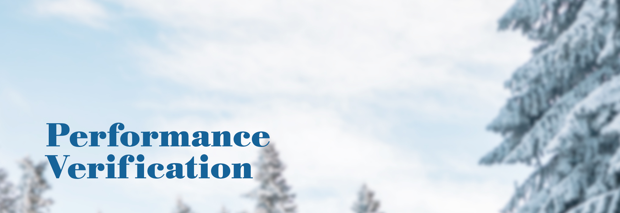 Performance Verification